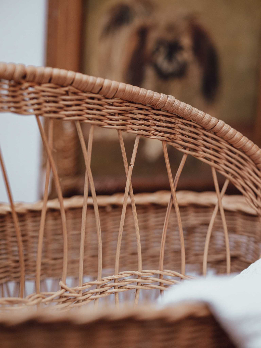 Large Cane Book and Magazine Holder