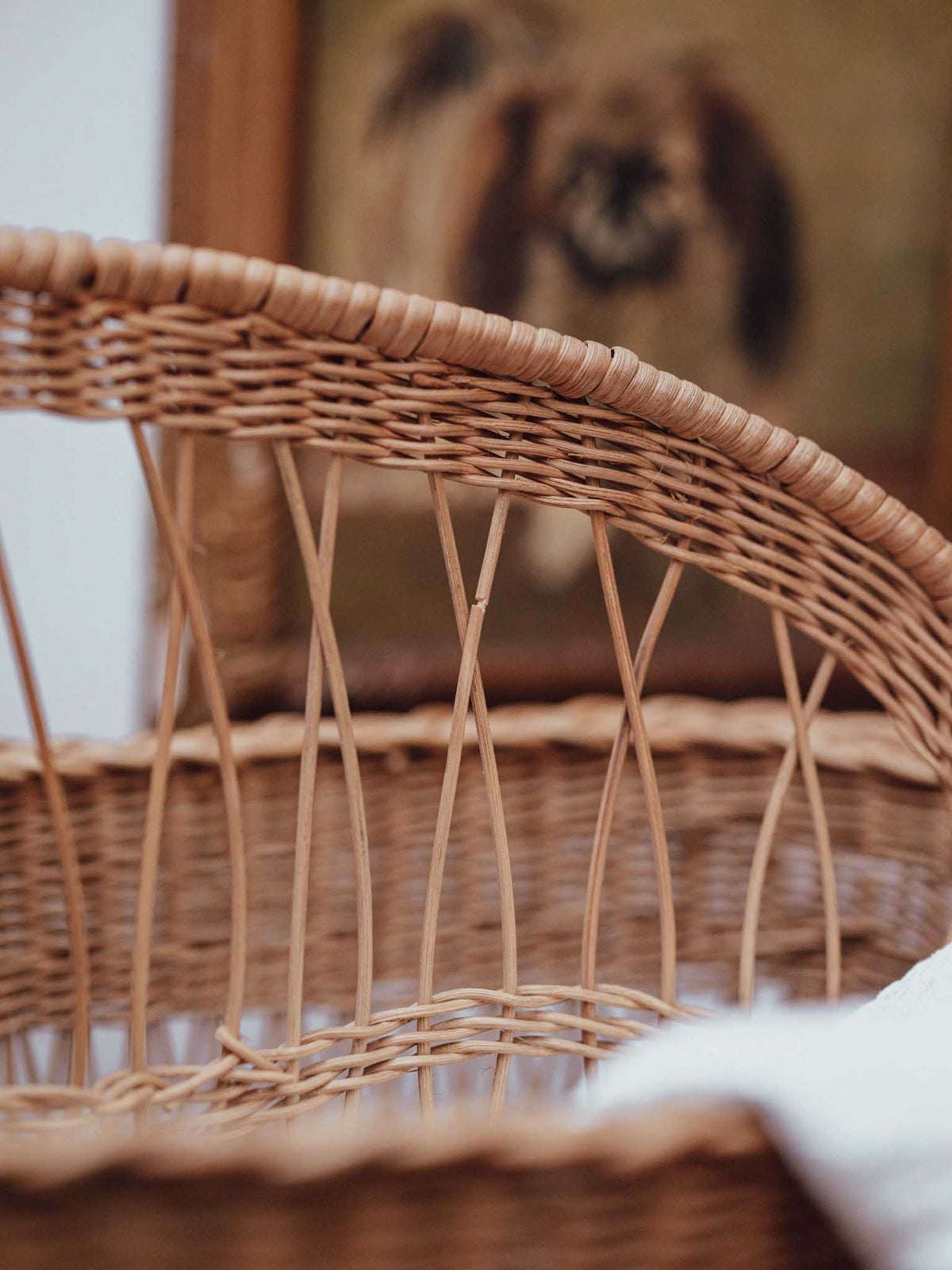 Large Cane Book and Magazine Holder