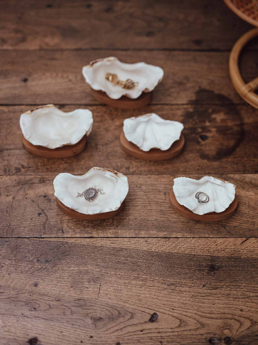 Clam Shells on Wooden Bases