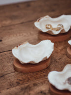 Clam Shells on Wooden Bases
