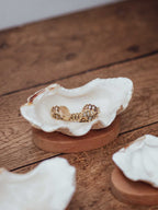 Clam Shells on Wooden Bases