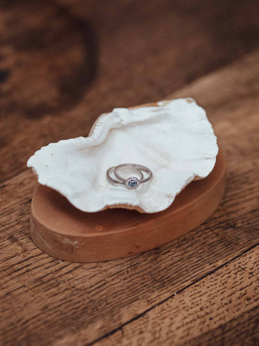 Clam Shells on Wooden Bases