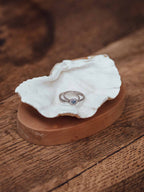 Clam Shells on Wooden Bases