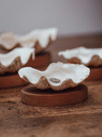 Clam Shells on Wooden Bases