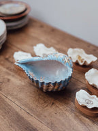 Hand-Painted Ceramic Shell Bowl