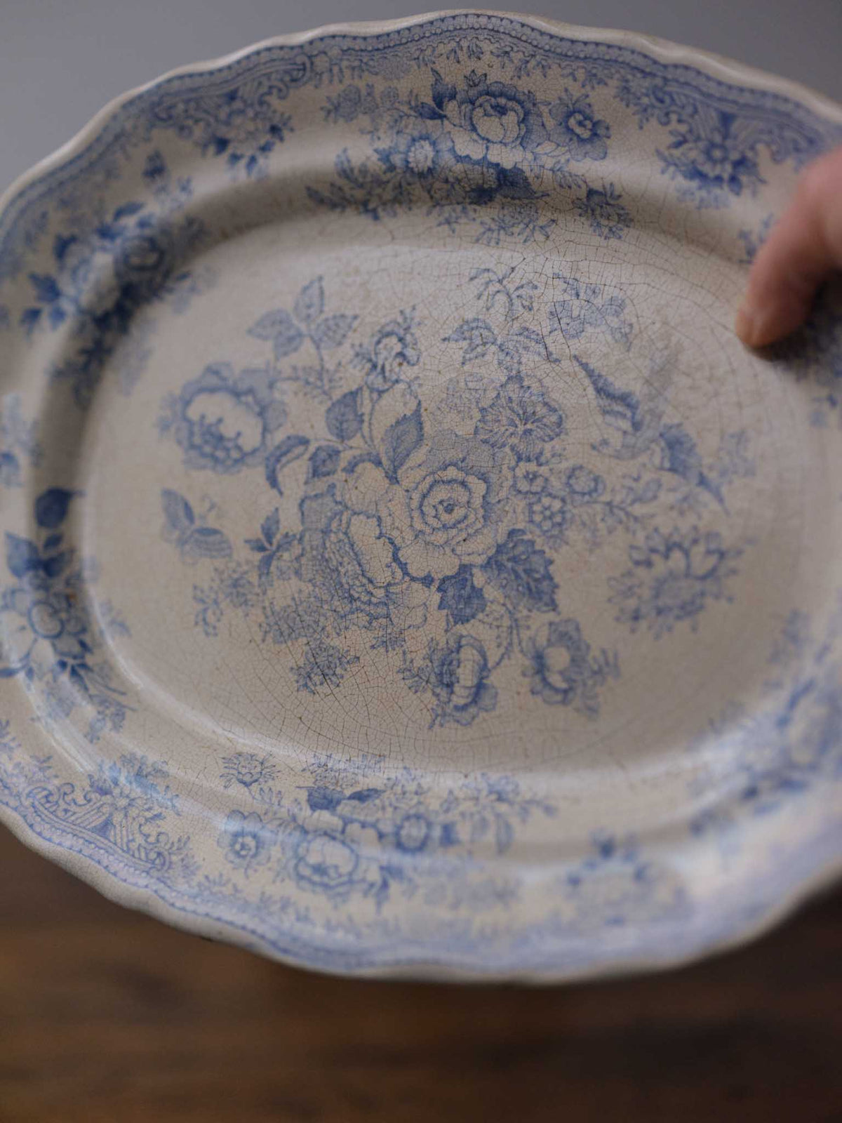 Asiatic Pheasants Oval Platter in Pale Blue