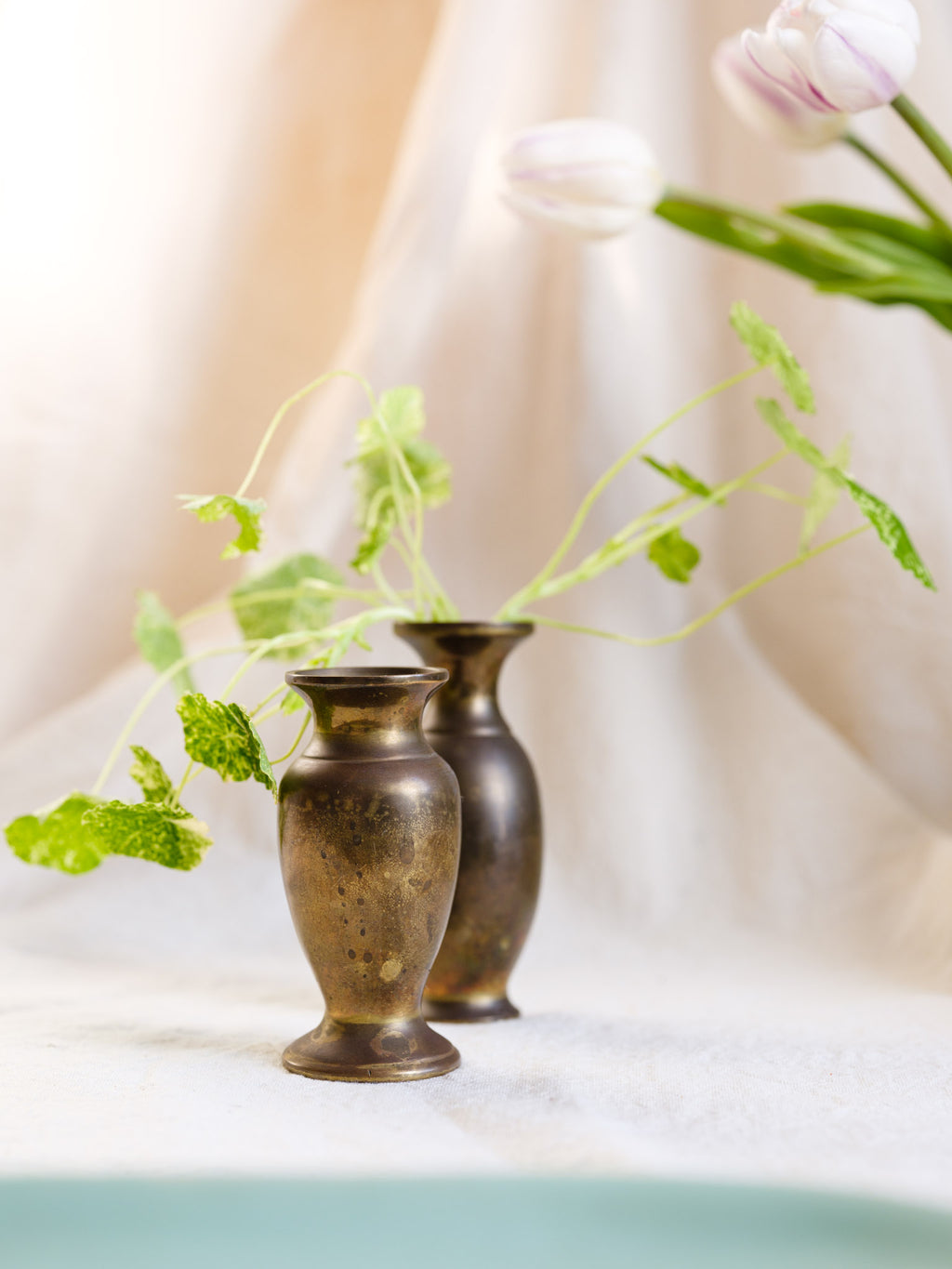 Two bronze vases with greenery on a light background