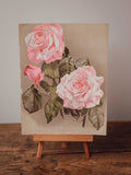 Antique Rose Mrs Paul Botanical Print