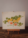 Antique Hardy Tropaeolums Botanical Print