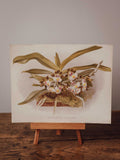 Antique Saccolabium Bellinum Botanical Print