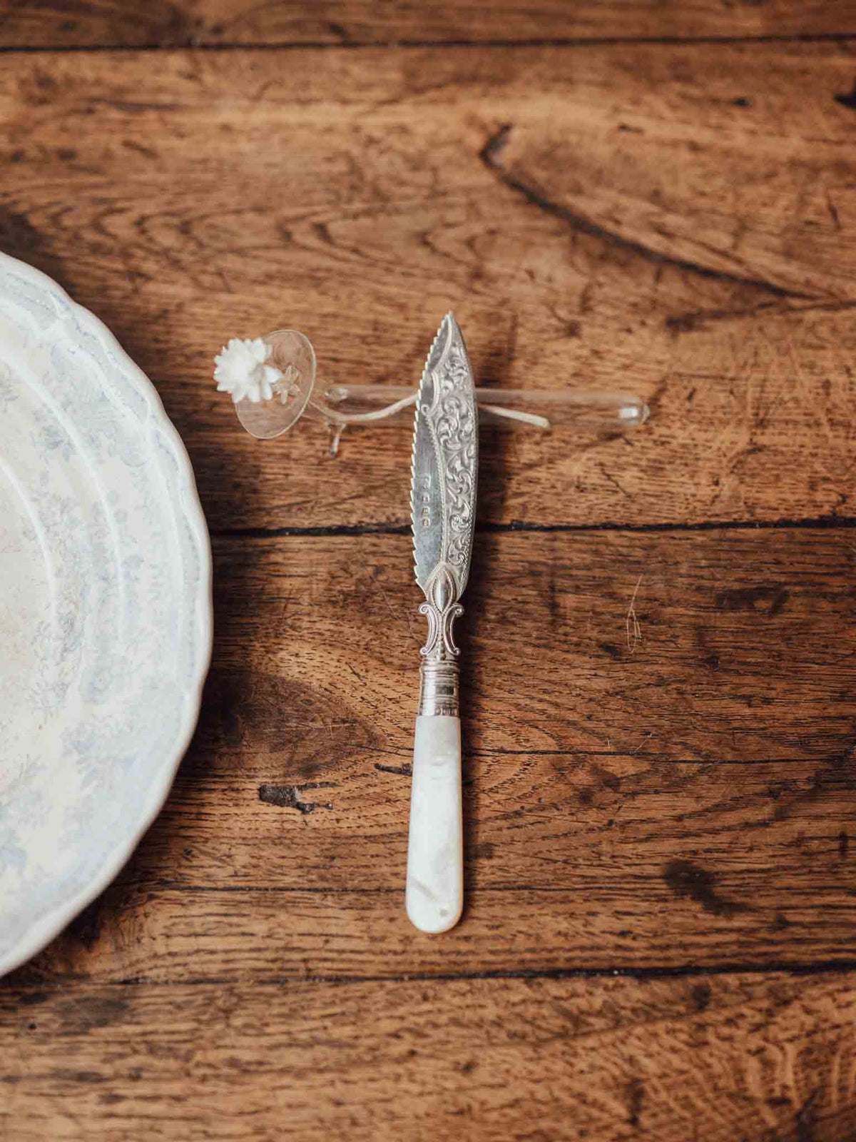 Sterling Silver Mother of Pearl Handled Knife
