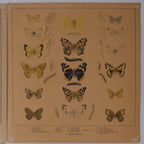 Original 1920-1930 Lithographs of Insects by F.W Frohawk