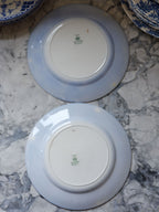 Johnson Brothers Turin Flow Blue Dinner Plates – Vintage English Porcelain Set of 2