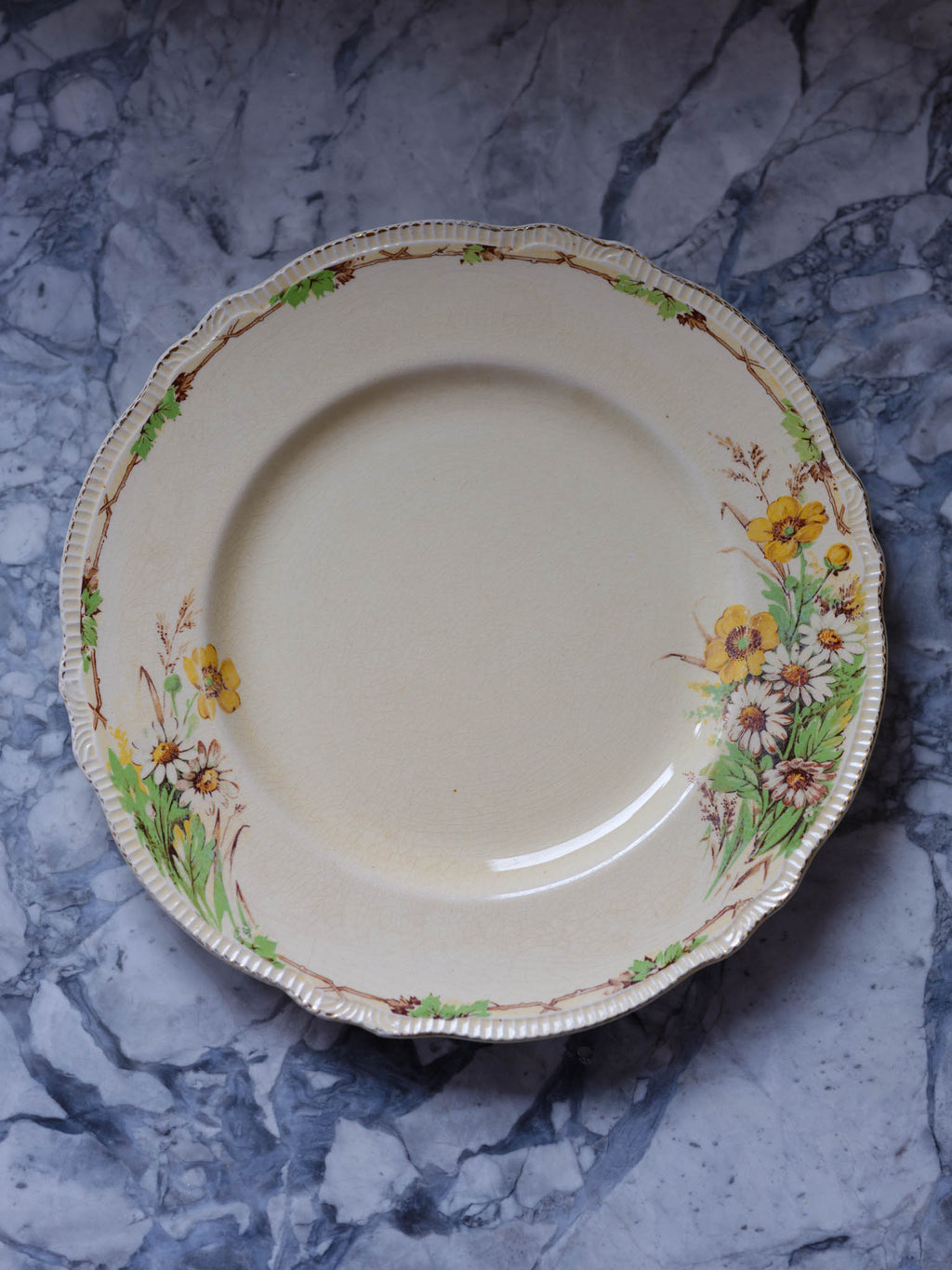 Royal Winton Silverdale Plate – Vintage English Floral China