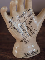 Palm Reader’s Vintage Hand Figurine - Life-Size Reference Guide Ornament