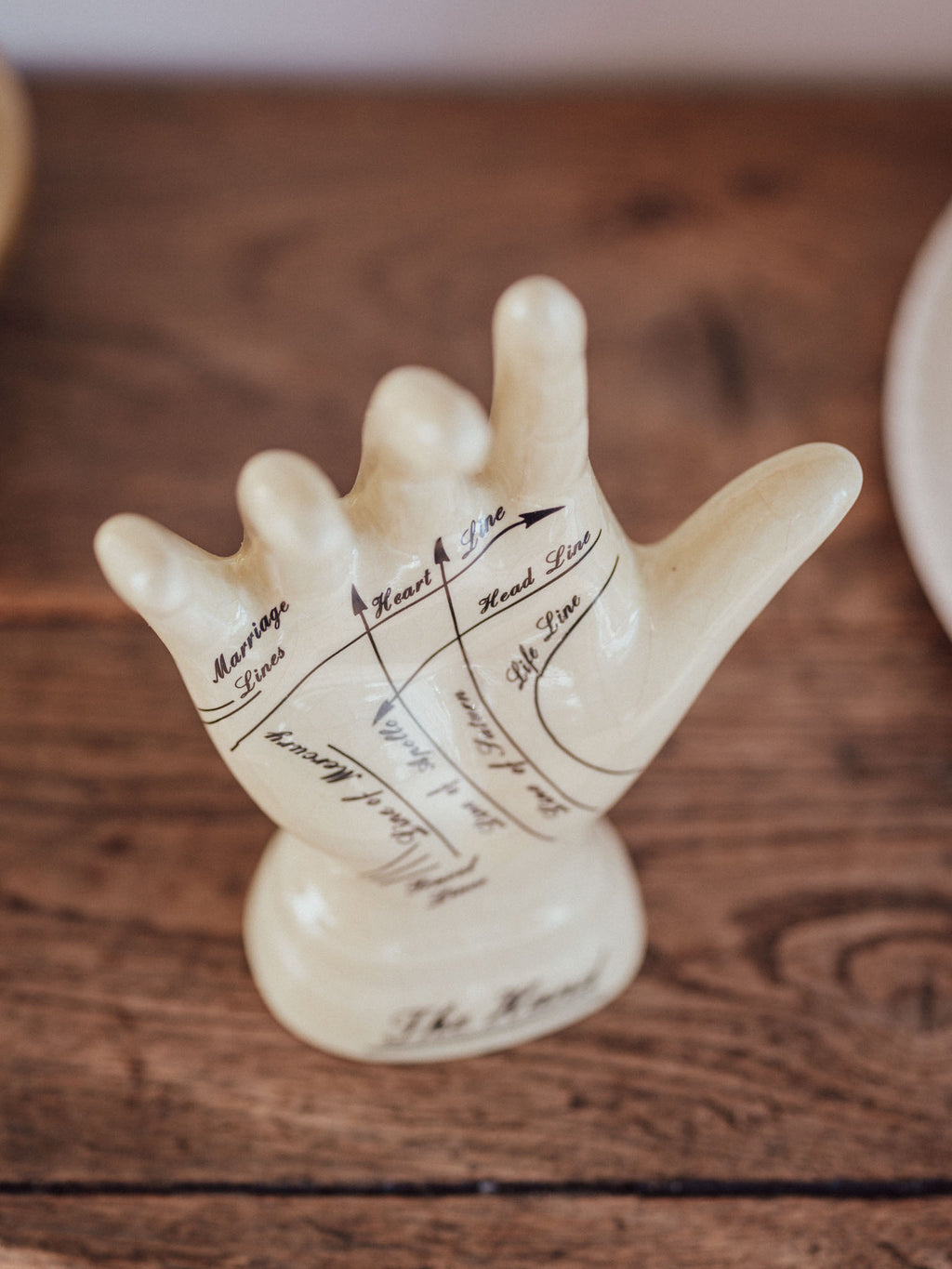 Palm Reader’s Vintage Hand Figurine - Life-Size Reference Guide Ornament
