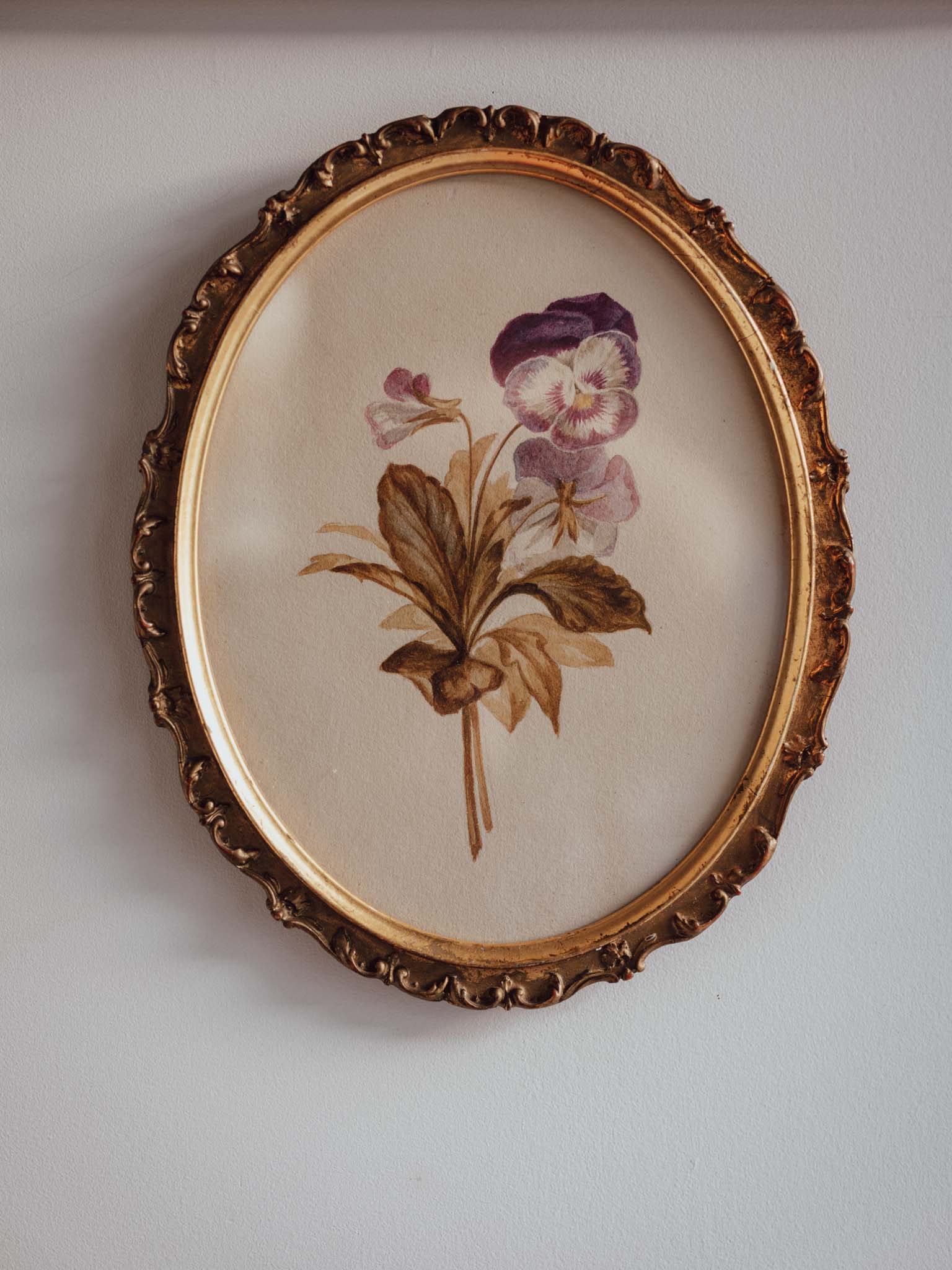 Antique Watercolour of Pansy in Oval Gilded Frame – Frank J Pope, Boston