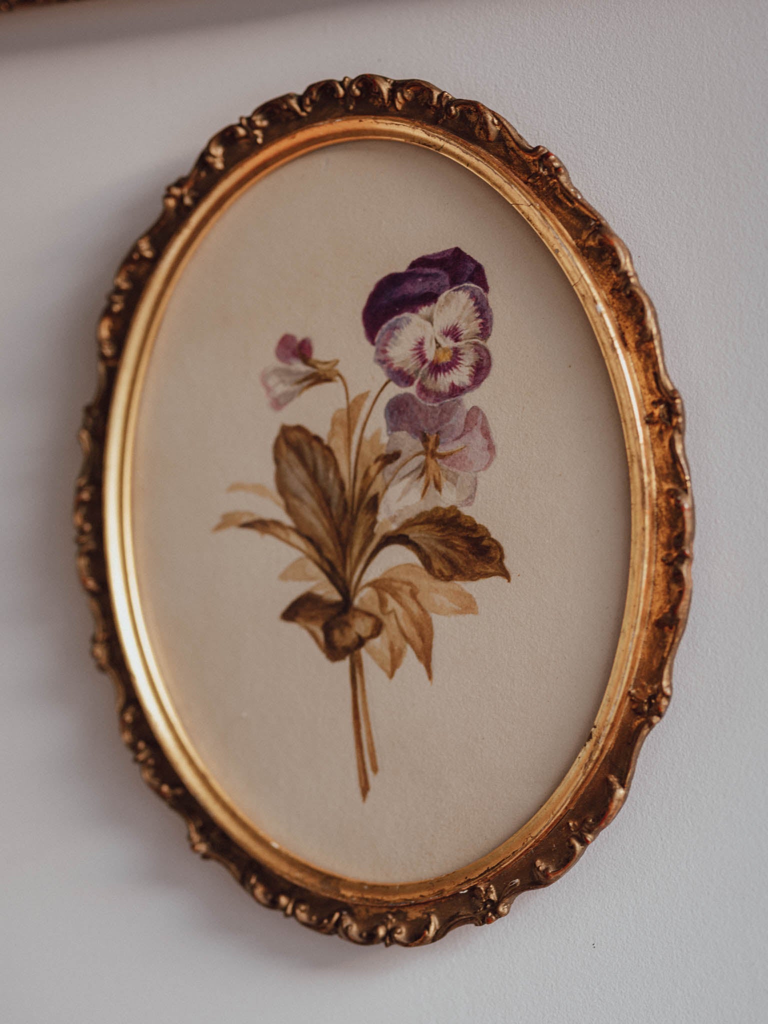 Antique Watercolour of Pansy in Oval Gilded Frame – Frank J Pope, Boston
