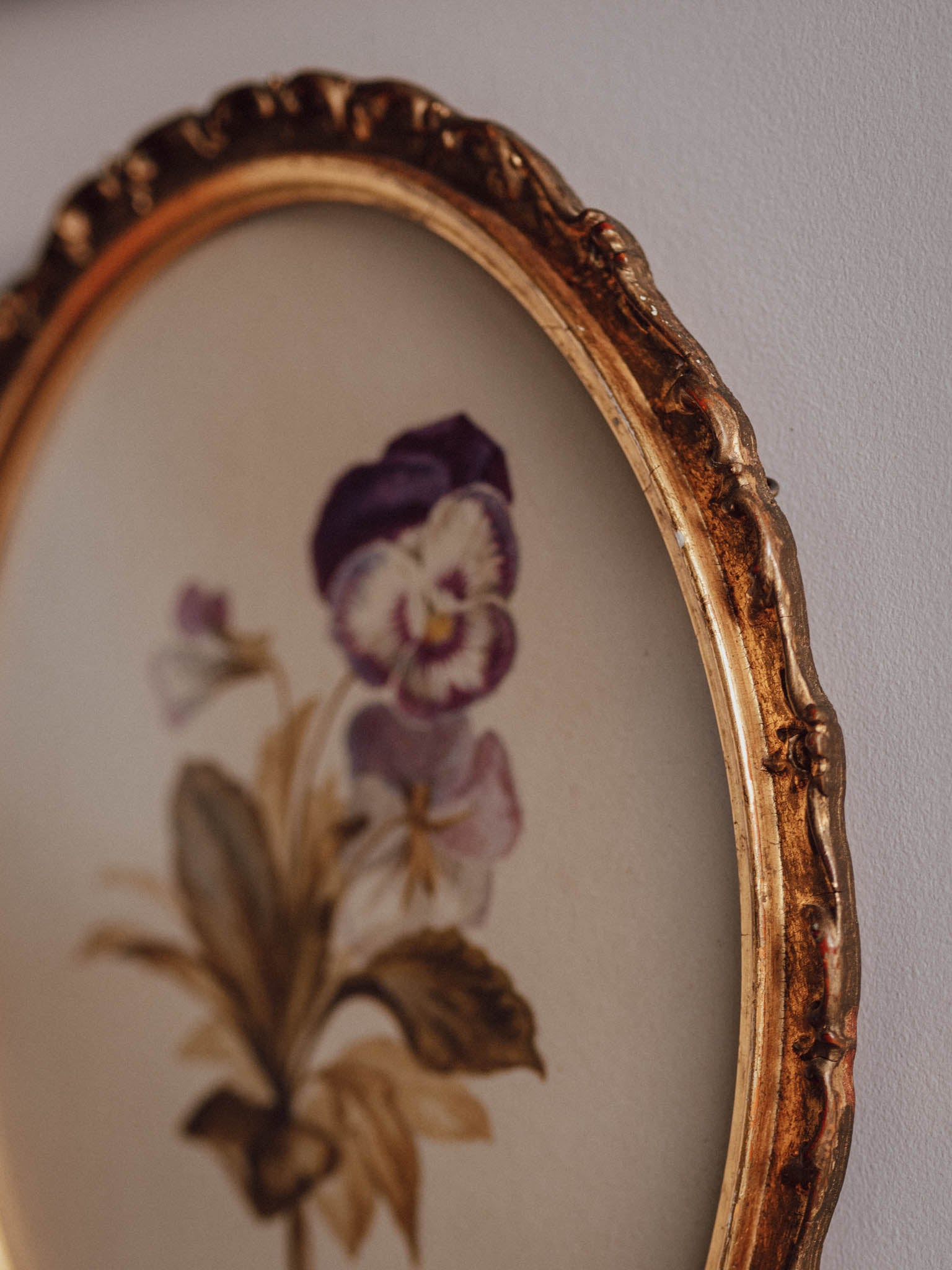 Antique Watercolour of Pansy in Oval Gilded Frame – Frank J Pope, Boston