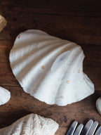 Vintage Natural Clamshell - Large