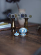 Small Blue & White lidded container