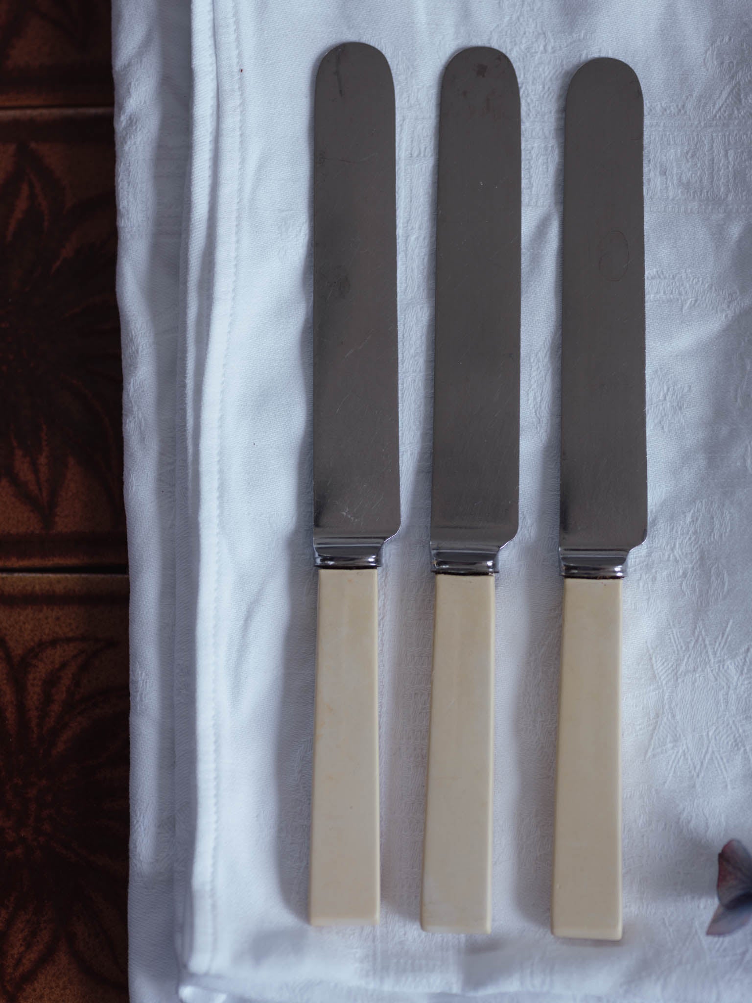 Stainless Faux Bone Handled Cutlery (Firth Stainless)