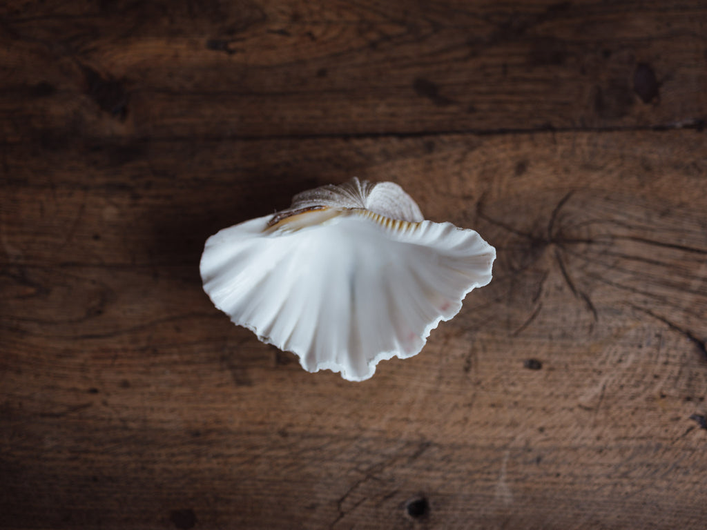 Vintage Natural Clamshell - Small