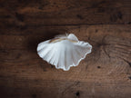 Vintage Natural Clamshell - Small