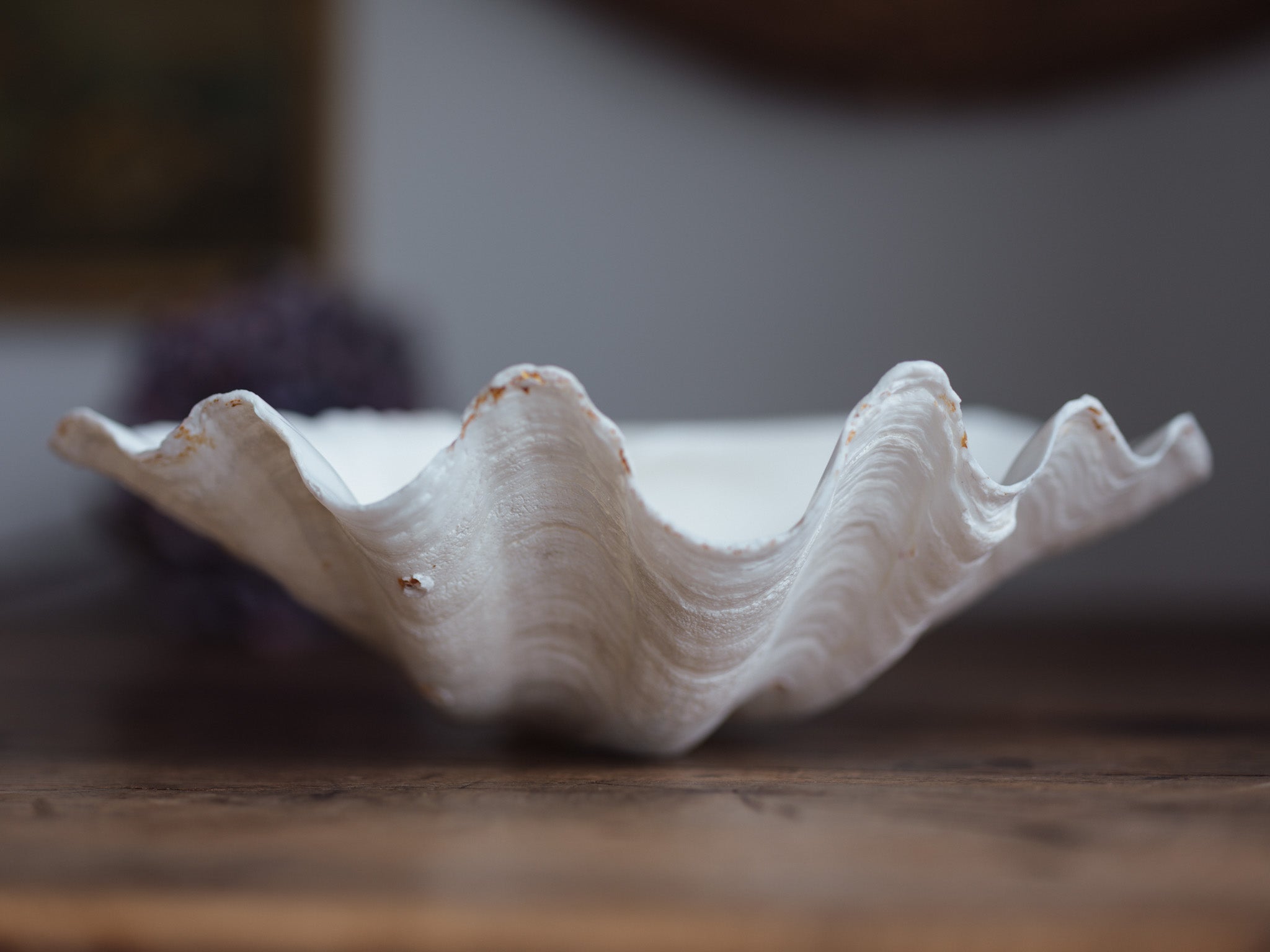 Vintage Natural Clamshell - Large