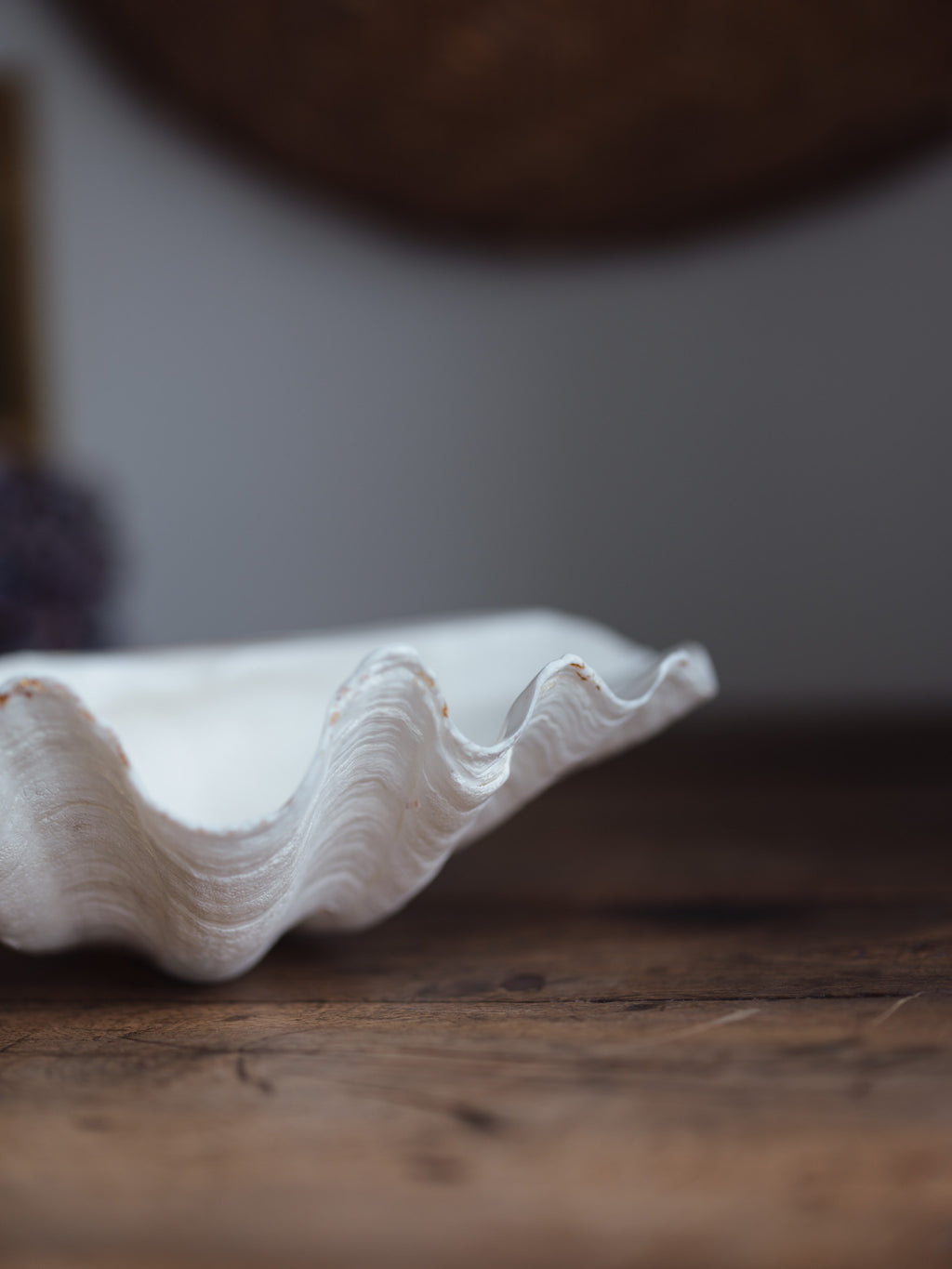 Vintage Natural Clamshell - Large