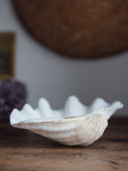 Vintage Natural Clamshell - Large