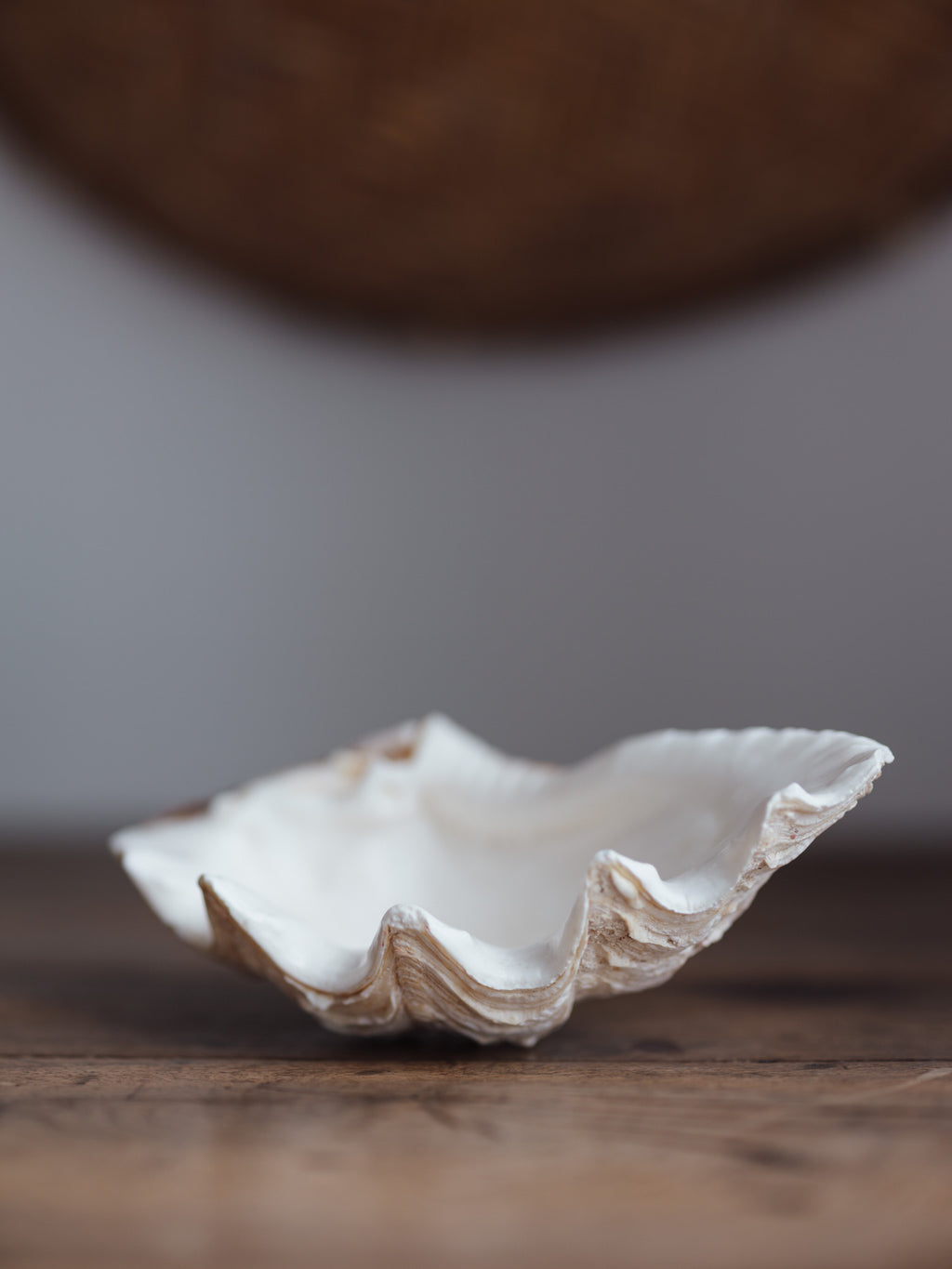 Vintage Natural Clamshell - Medium