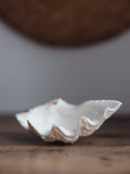 Vintage Natural Clamshell - Medium