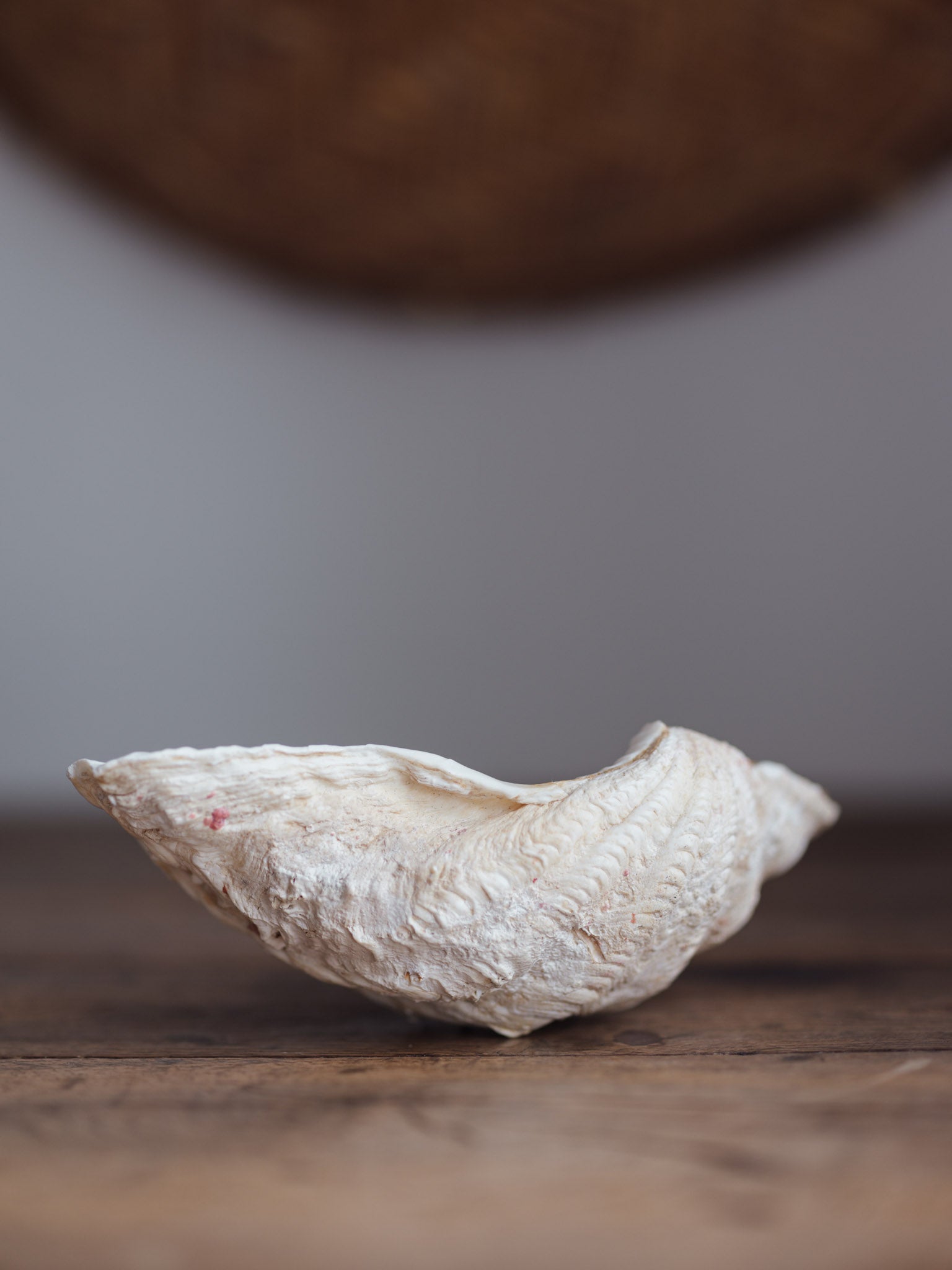 Vintage Natural Clamshell - Medium