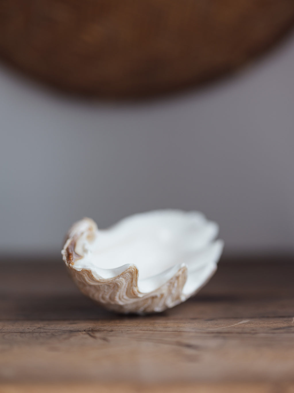 Vintage Natural Clamshell - Medium