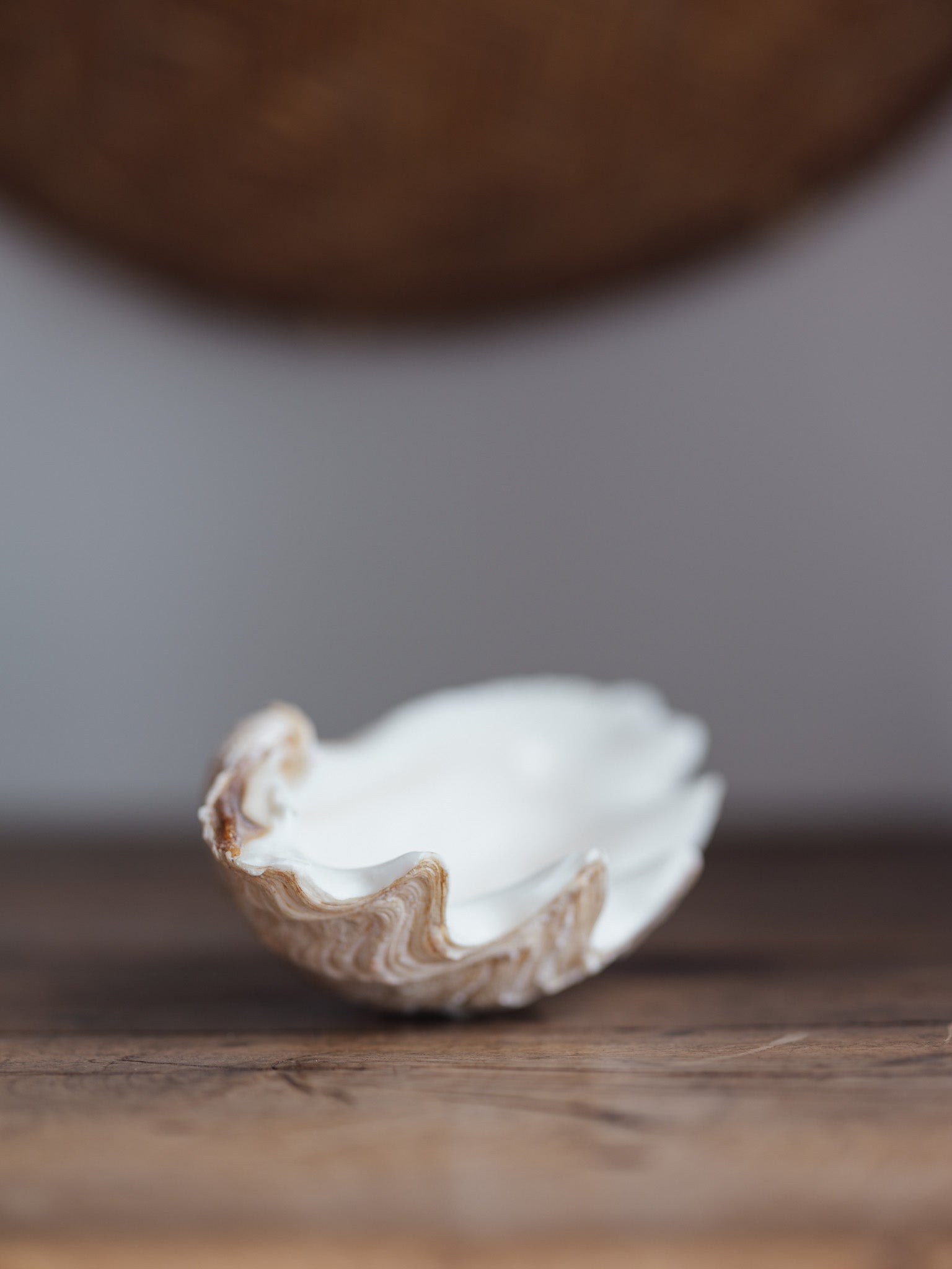 Vintage Natural Clamshell - Medium