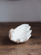 Vintage Natural Clamshell - Medium