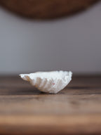 Vintage Natural Clamshell - Small