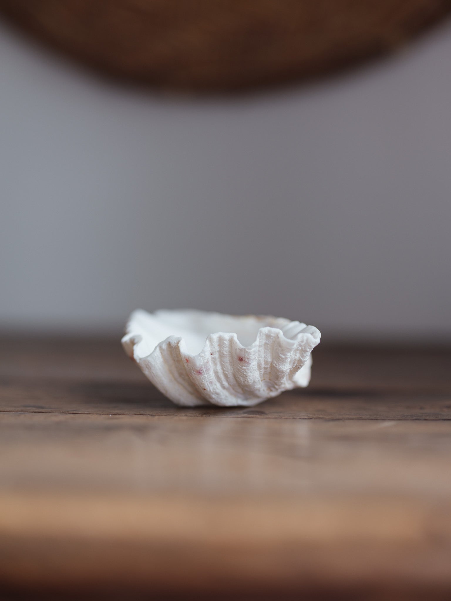 Vintage Natural Clamshell - Small