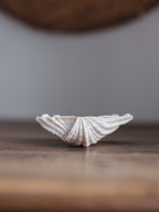 Vintage Natural Clamshell - Small