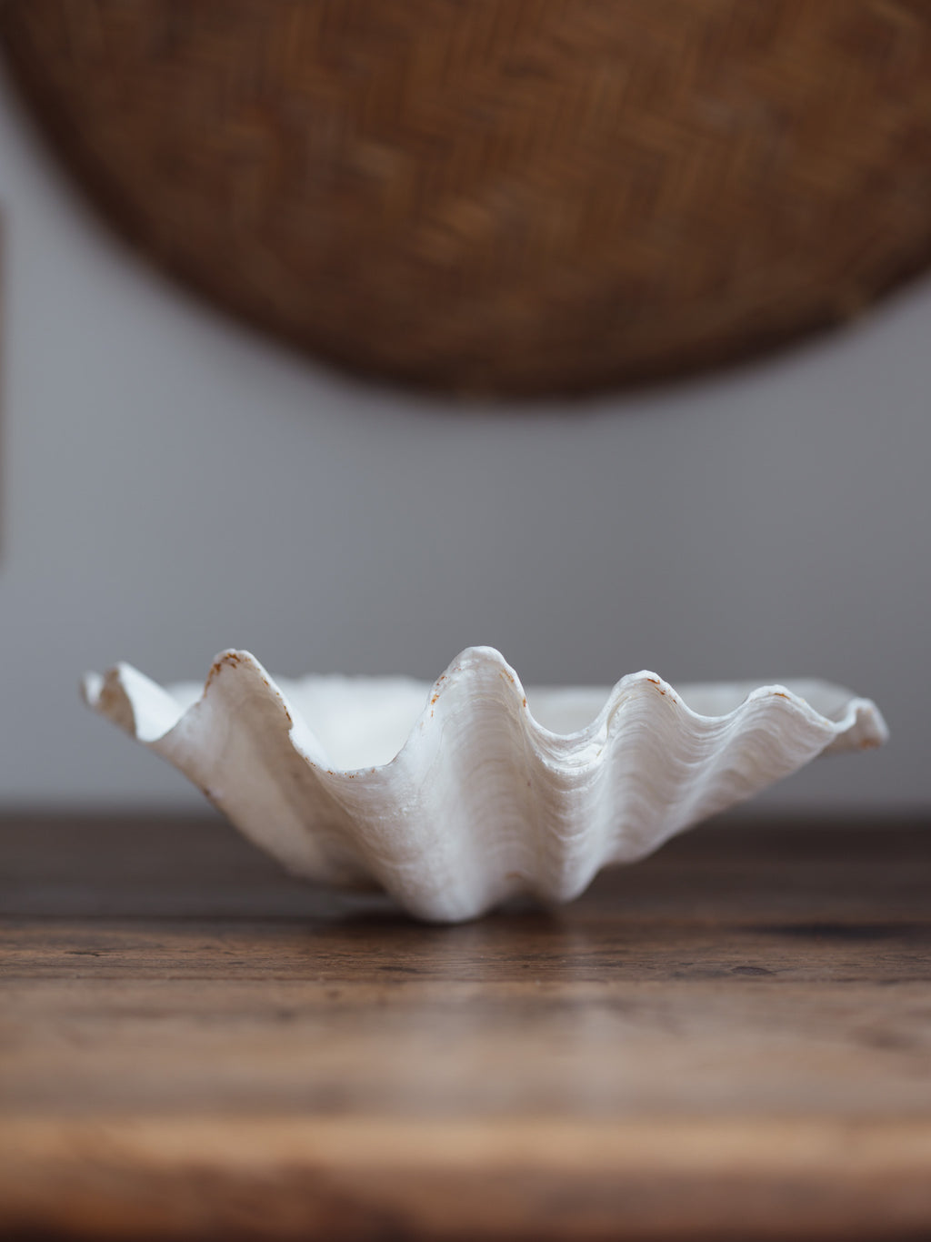 Vintage Natural Clamshell - Large