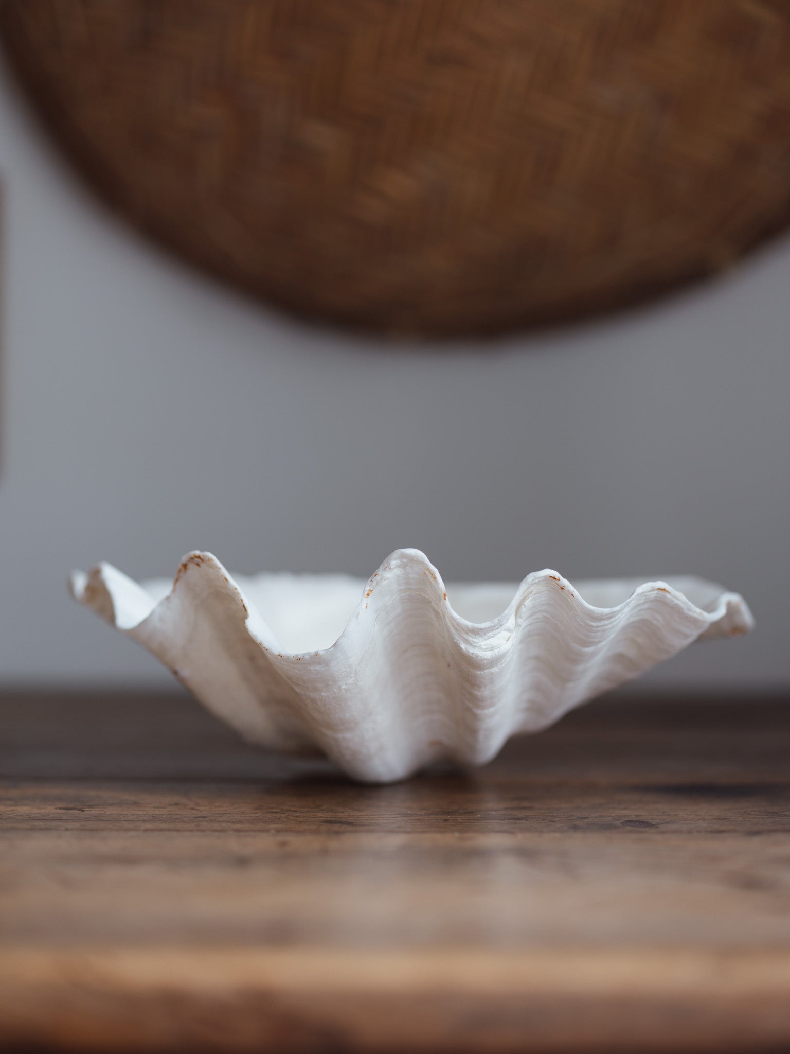 Vintage Natural Clamshell - Large