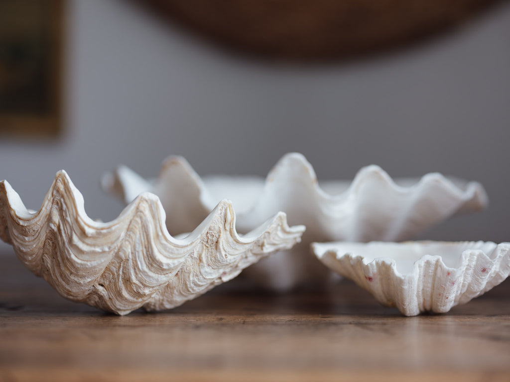 Vintage Natural Clamshell - Large