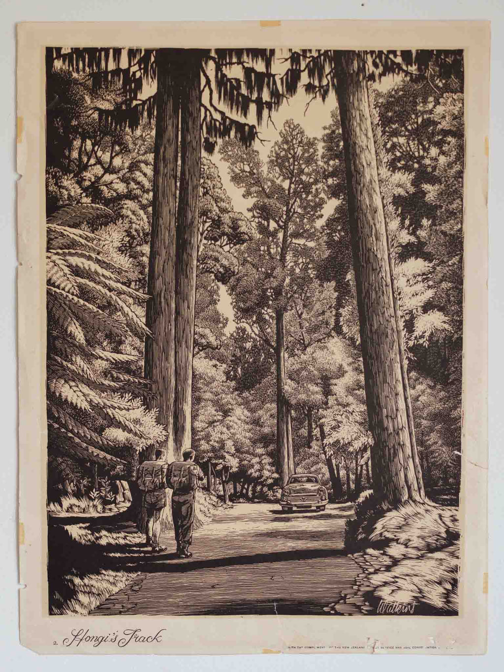 Vintage NZ Poster - Hongi’s Track by Wattkins