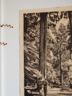 Vintage NZ Poster - Hongi’s Track by Wattkins