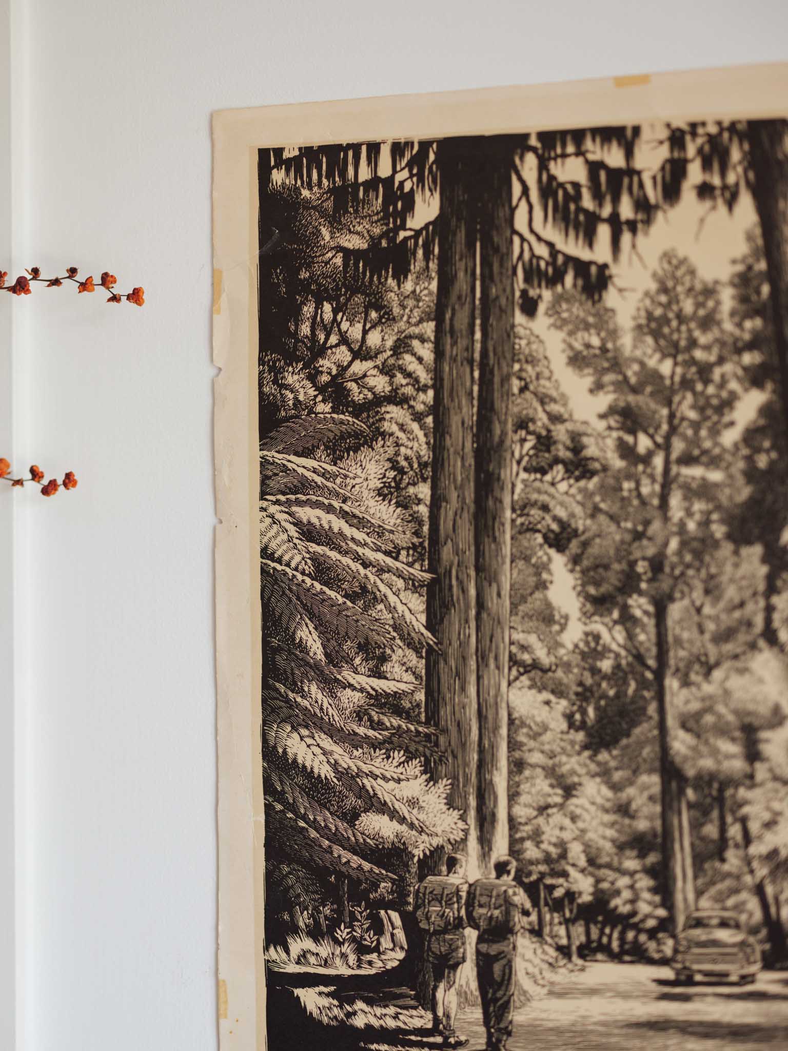 Vintage NZ Poster - Hongi’s Track by Wattkins