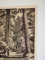 Vintage NZ Poster - Hongi’s Track by Wattkins