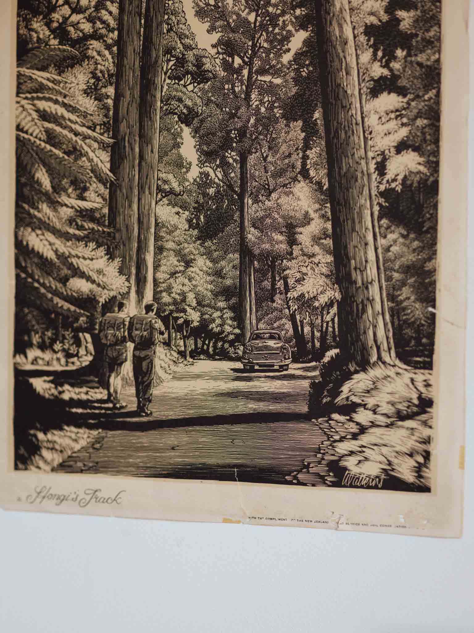 Vintage NZ Poster - Hongi’s Track by Wattkins