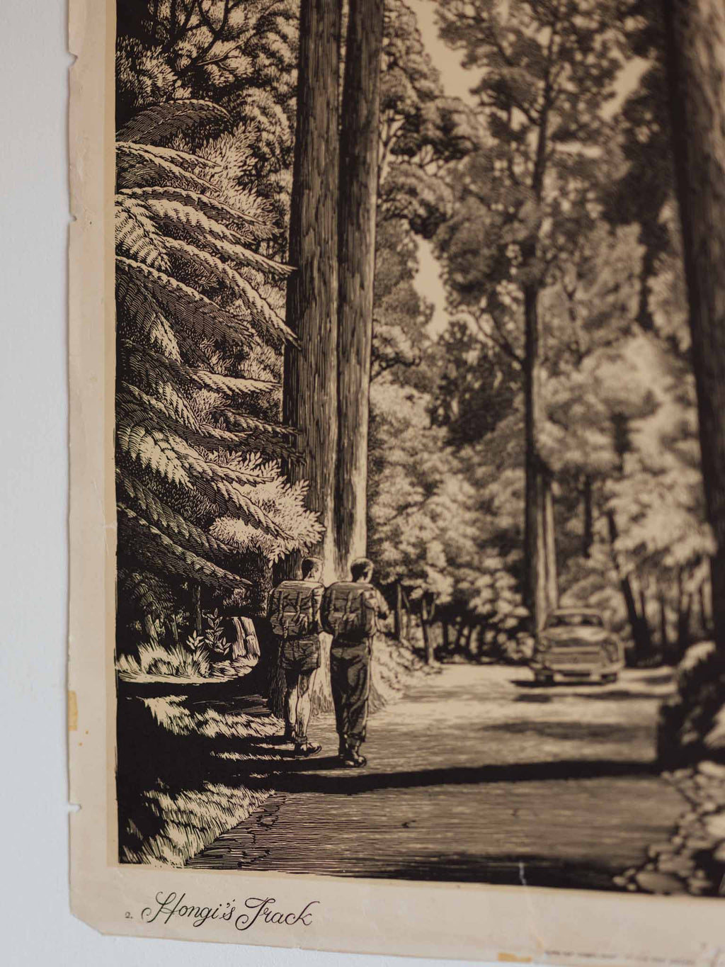 Vintage NZ Poster - Hongi’s Track by Wattkins