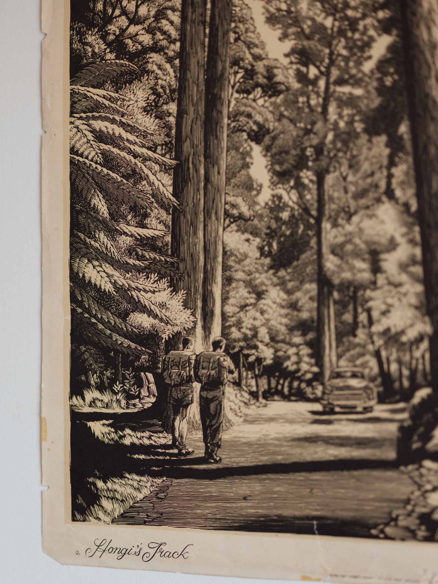 Vintage NZ Poster - Hongi’s Track by Wattkins